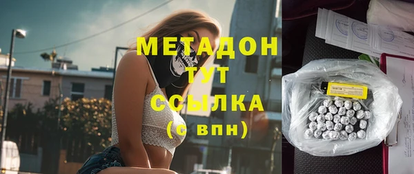 шишки Белая Холуница