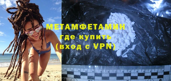 шишки Нея