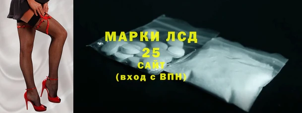 хмурый Нефтекумск