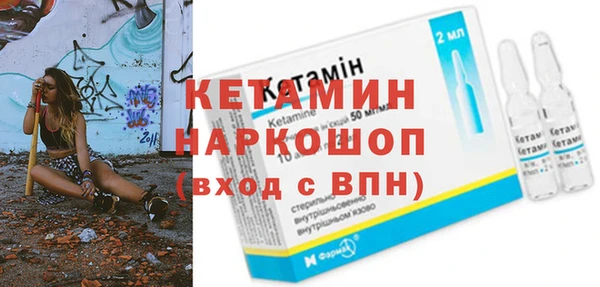шишки Белая Холуница