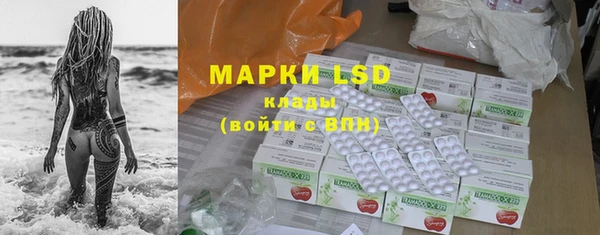 шишки Нея