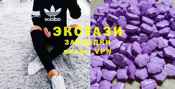 шишки Белая Холуница